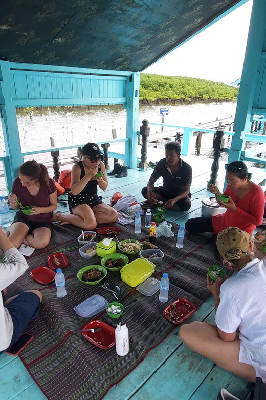 Half Day Kayak Guided Tour to the Green Mangroves Forest - Good To Know