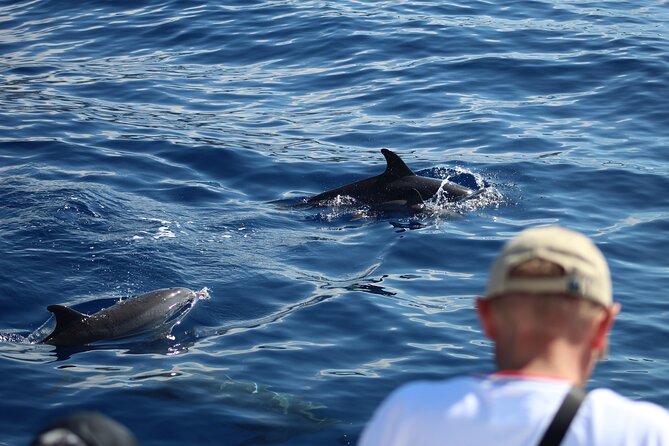 Half Day Madeira Island Cruise With Lunch - Cruise Experience