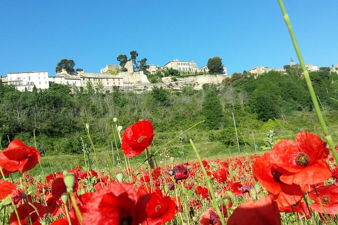 Half Day Private Tour for 4-8 Person - Good To Know