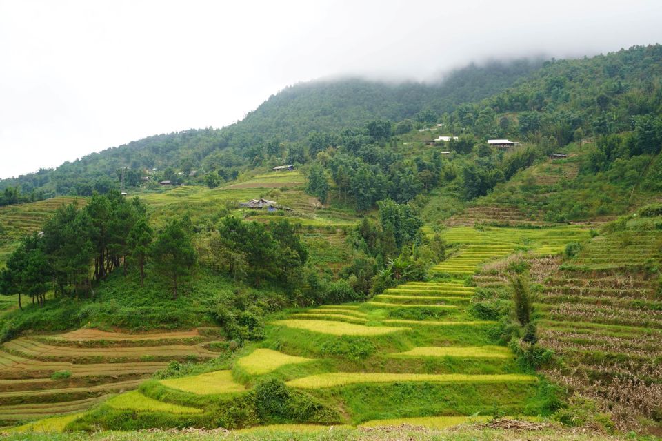 Half Day Sapa Trekking to Visit Lao Chai - Ta Van - Key Points