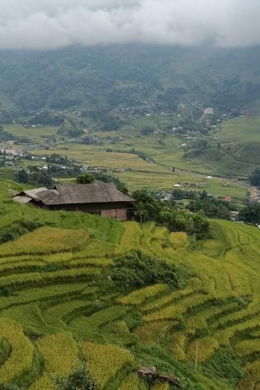 Half Day Visit Y Linh Ho,Lao Chai,Ta Van Trekking With Lunch - Key Points