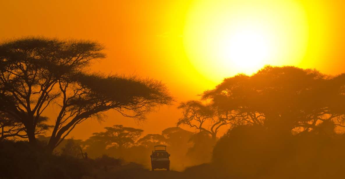 Hambantota Port: Bundala National Park Safari in a 4x4 - Good To Know