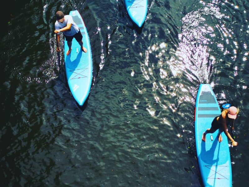 Hamburg: 1-Hour Stand Up Paddle Board Beginner Course - Key Points