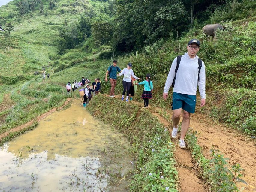 Hanoi: 2-Day Trekking Trip With Ethnic Minority Homestay - Key Points