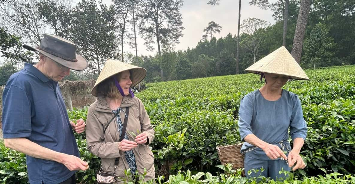 Hanoi Eco Tour: Ba Vi National Park Wonders & Tea Plantation - Tea-Making Session