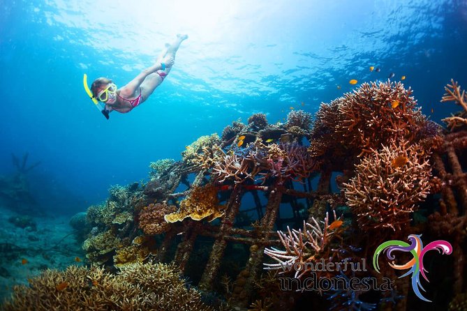 Have Fun 1 Day in Nusa Penida: Snorkeling, Kelingking & Broken Beach Incl Lunch - Good To Know