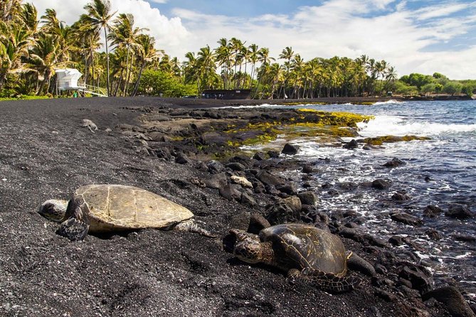 Hawaii Big Island Circle Small Group Tour: Waterfalls - Hilo - Volcano - Black Sand Beach - Key Points