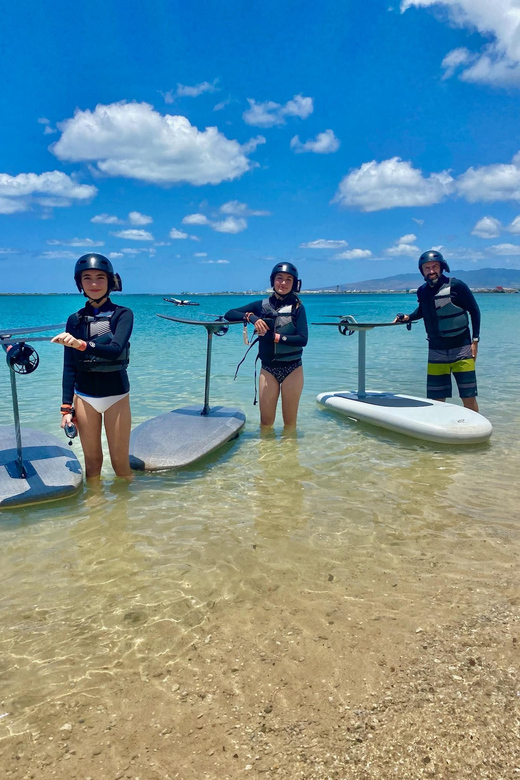 Hawaii: Electric Hydrofoil Surfing Group Lesson - Key Points