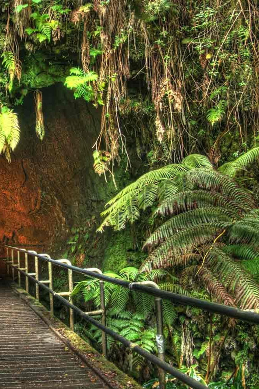 Hawaii Volcanoes National Park: Audio Tour Guide - Tour Overview and Pricing