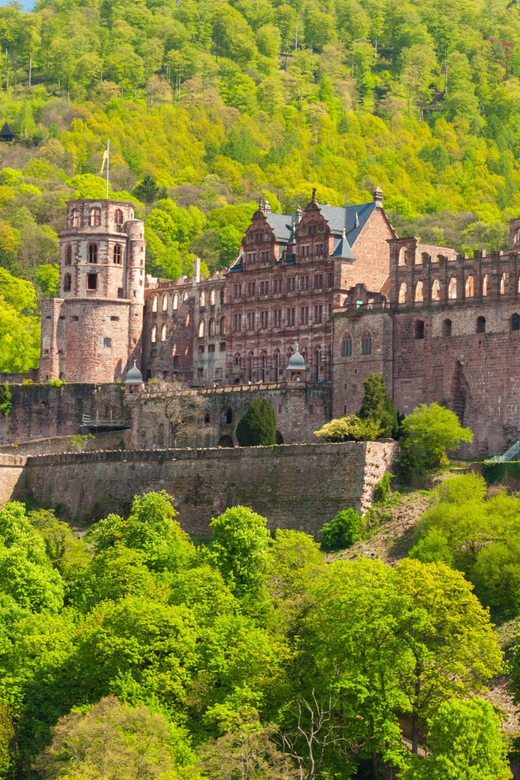 Heidelberg and Rhine Combination Tour From Frankfurt - Key Points