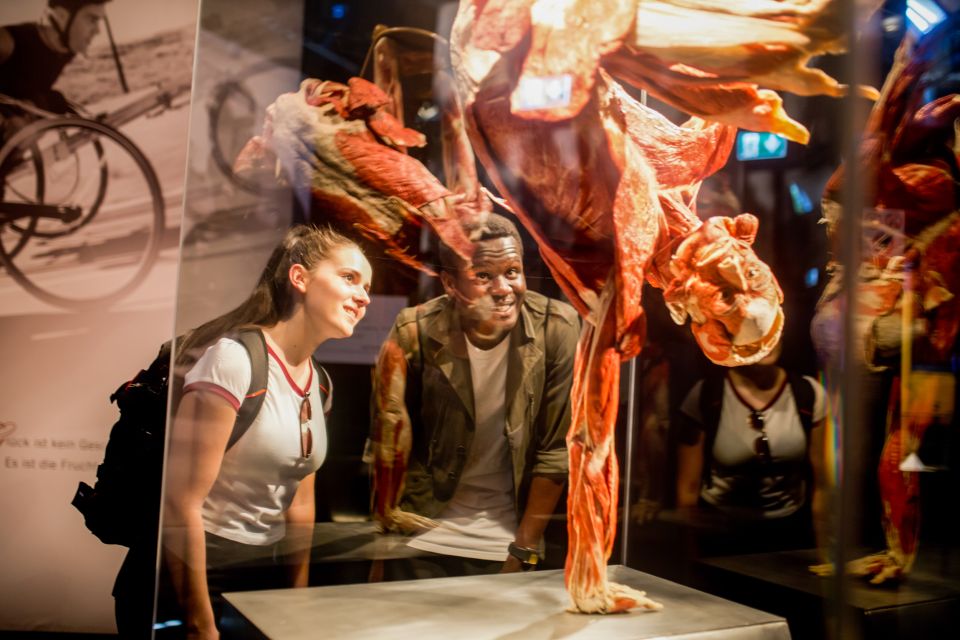 Heidelberg: BODY WORLDS Museum Entrance Ticket - Key Points