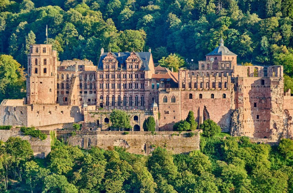 Heidelberg: Express Walk With a Local in 60 Minutes - Key Points