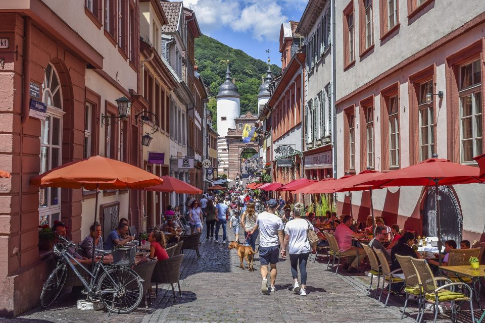 Heidelberg - Old Town Tour Including Castle Visit - Key Points