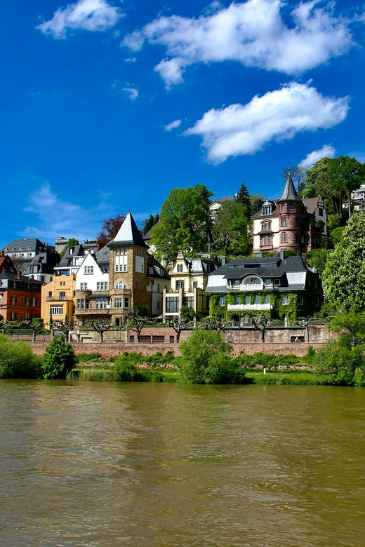 Heidelberg: Running Tour With Insider Tip Guarantee - Key Points