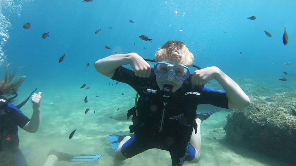 Heraklion: Beginner Scuba Diving Lesson With PADI Instructor - Key Points