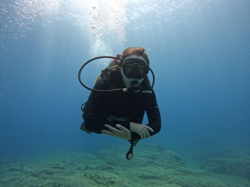 Heraklion: Scuba Diving Trip for Beginners - Key Points