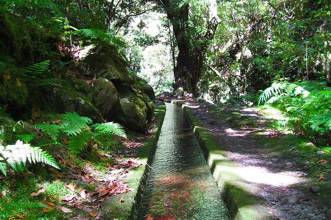 Hidden Corners: Levada Walk From Funchal - Good To Know