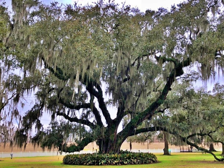 Highlights of New Orleans City and Destrehan Plantation Tour - Key Points