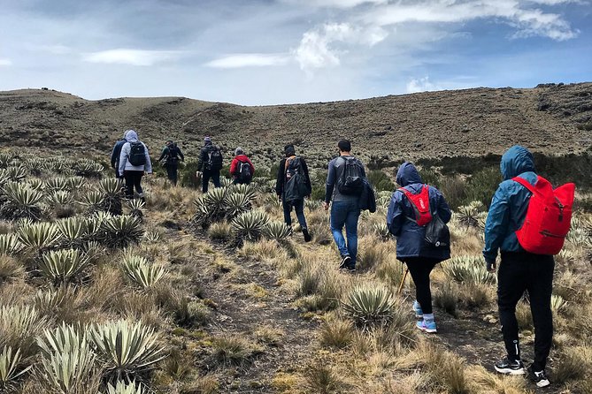 Hike Tour Sumapaz Paramo, the Largest Paramo in the World! - Itinerary Details