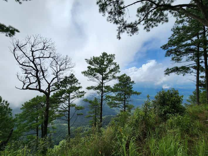 Hiking to Doi Suthep Peak& Delectable Cuisine & Wat Pha Lat. - Key Points