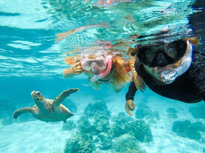 Hilo: Snorkeling With Turtles and Free Videos - Key Points