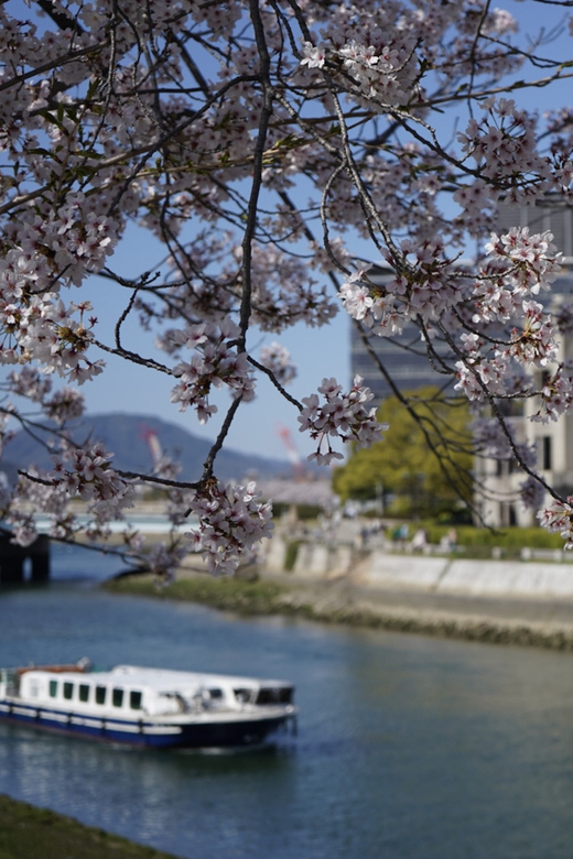 Hiroshima/Miyajima Private Custom Tour With Local Guide - Experience Highlights