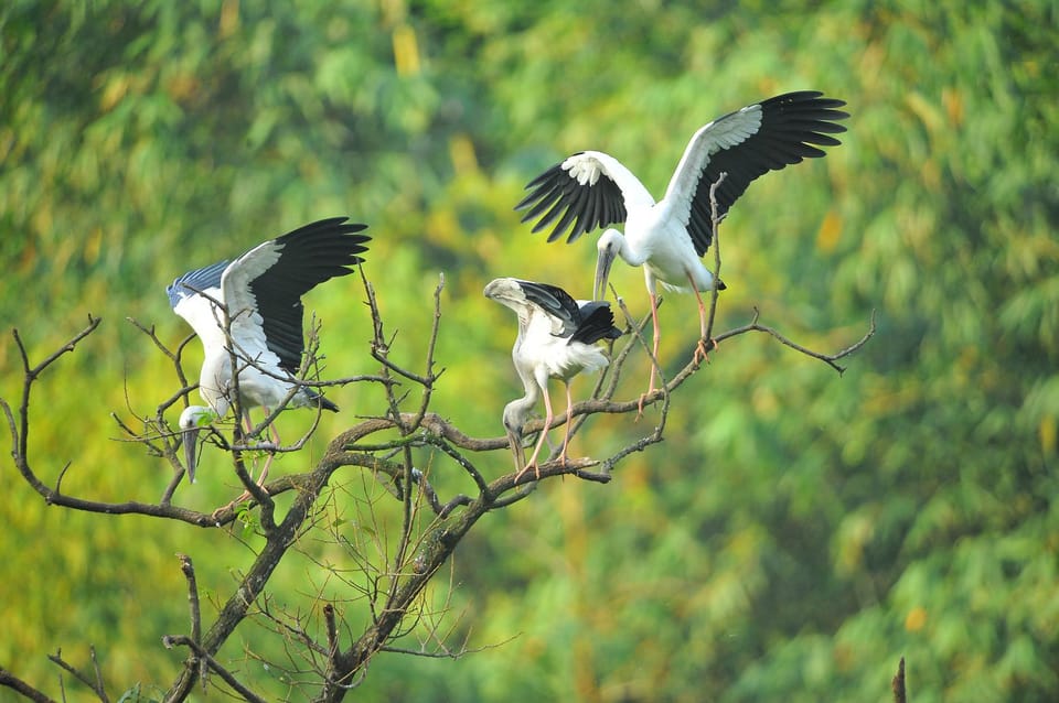 Hoa Lu Ancient - Bich Dong & Thung Nham Bird Valley - Key Points