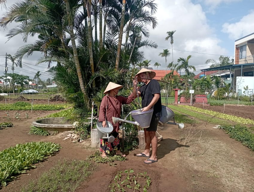 Hoi an Countryside, Lunch, 30 Mins Foot Massage by Bicycle - Key Points