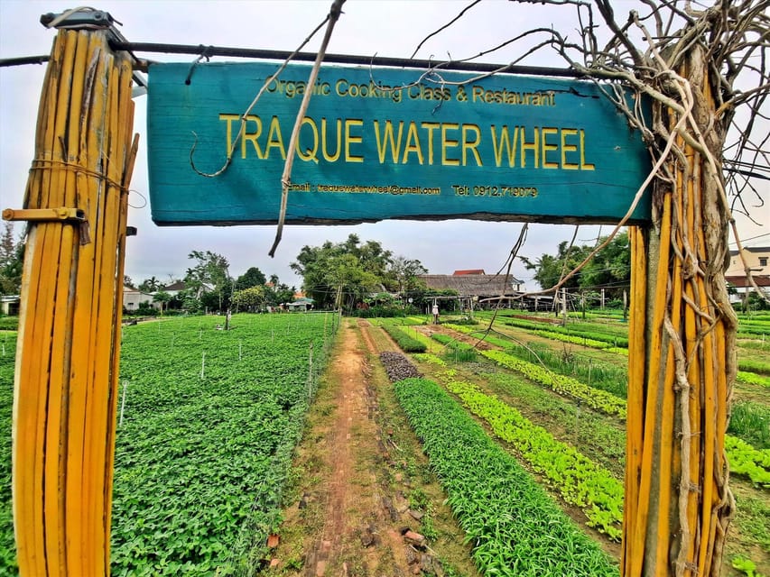 Hoi An: Tra Que Herb Village Farming And Cooking Class