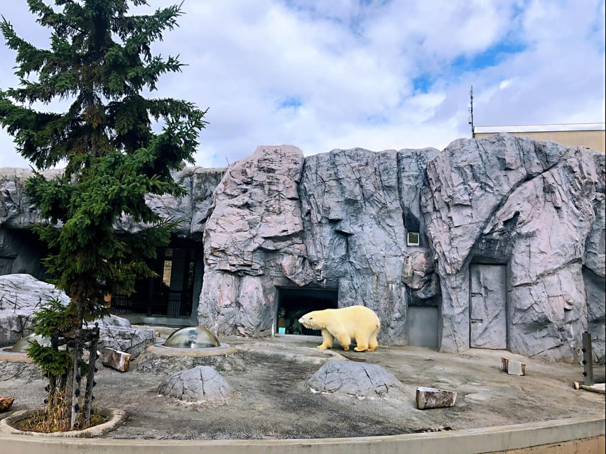 Hokkaido Asahiyama Zoo, Biei, Aoike, Elf Terrace Day Tour - Tour Overview and Pricing