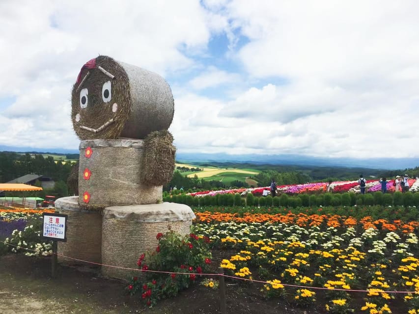 Hokkaido: Flower Sea, Pastoral, and Natural Scenery Day Tour - Tour Overview and Details