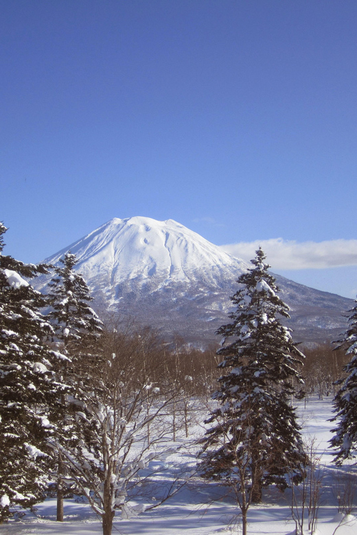 Hokkaido Niseko Ski Day Tour - Key Points