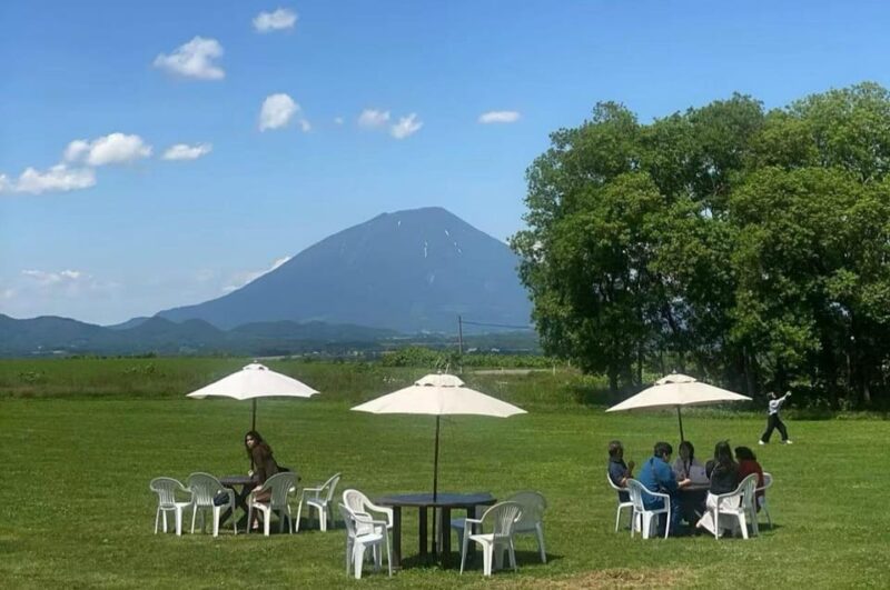 Hokkaido: Noboribetsu Lake Toya Day Tour From Sapporo - Tour Overview and Pricing