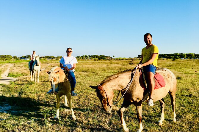 Horse Ride in a Salento Nature Reserve With Transfer From Lecce - Good To Know