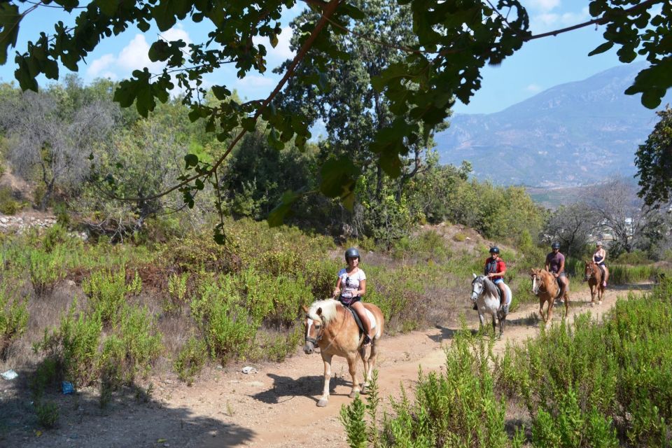 Horse Riding in Kusadasi - Key Points