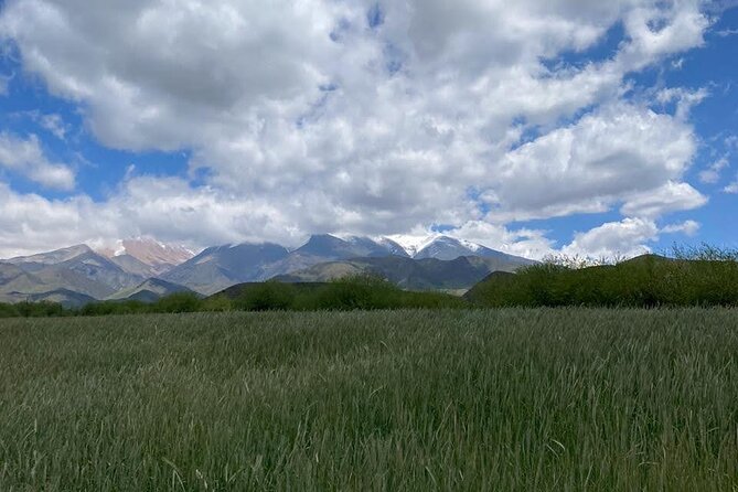 Horseback Riding and Barbecue in a Private Ranch - La Carrera, Mendoza - Good To Know