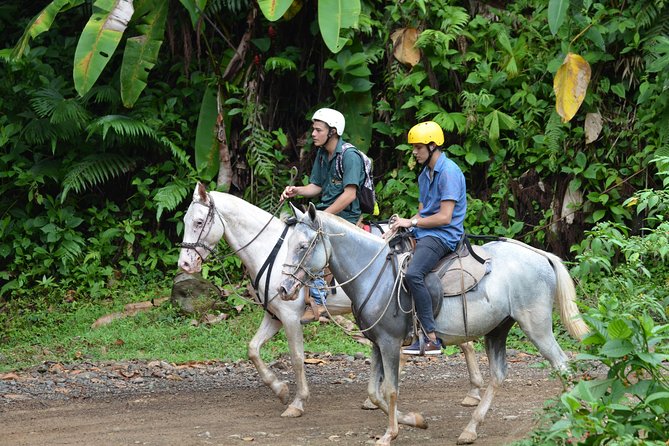 Horseback Riding From Manuel Antonio - Experience Details