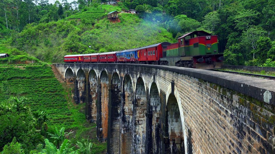 Horton Plains National Park Tour & Scenic Train Ride - Good To Know