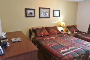 House on the Rock B&B - Accommodation Options