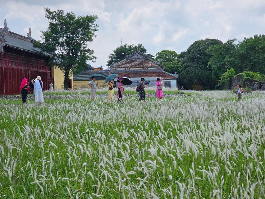 Hue City Tour Half Day: Imperial City and Tu Duc Tomb by Car - Key Points