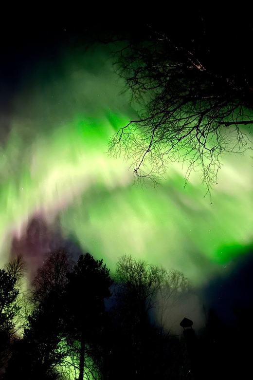 Hunting Aurora With BBQ in Small Group - Key Points