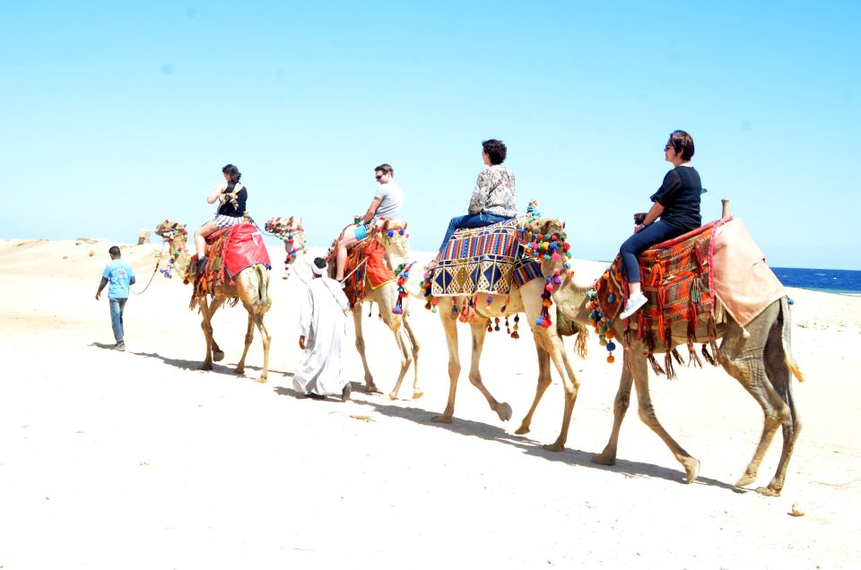 Hurghada: Sea & Desert Camel Ride W/Dinner, Show, Stargazing - Good To Know