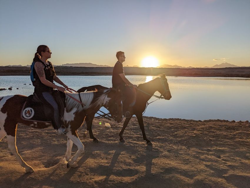 Hurghada: Stargazing by ATV, Camel, Horse, Dinner & Show - Good To Know