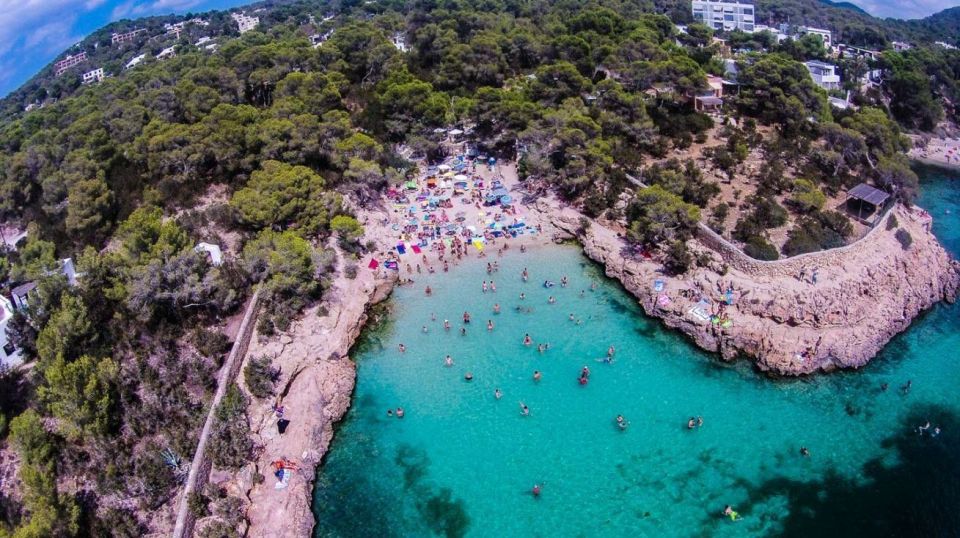 Ibiza: Cala Salada & Cala Gracio Sunset Boat Trip & Snorkel - Key Points