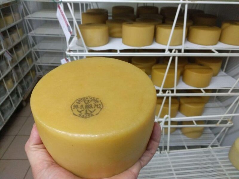 Idiazabal Cheese Tour From San Sebastian - Key Points
