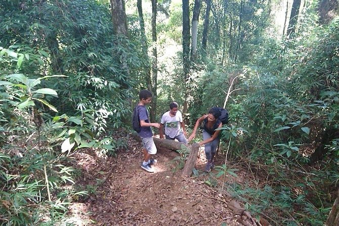 Ilha Grande: Pico Do Papagaio - Private Hike - Sunrise or Daytime - Location and Overview