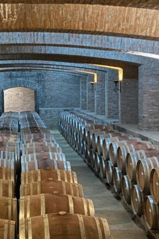 From Santiago: Undurraga Winery Tour With Tasting - Pricing and Duration Details