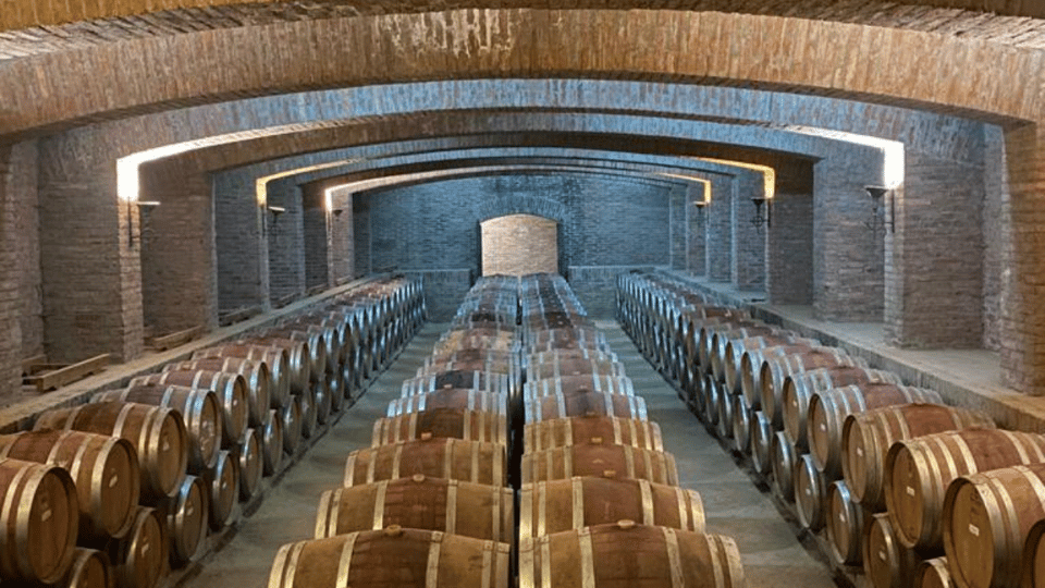 From Santiago: Undurraga Winery Tour With Tasting - Inclusions of the Tour