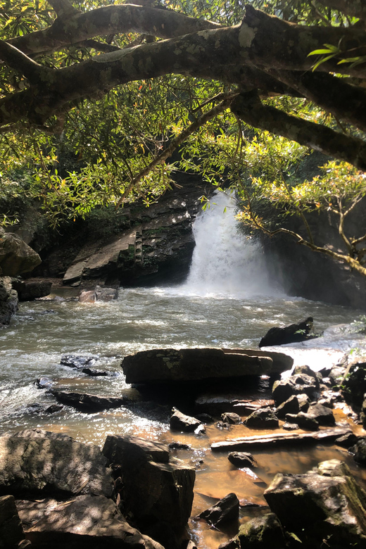 Chiang Mai: Bamboo Rafting & Elelphant Care & Waterfall Tour - Key Points