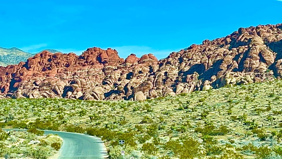 Tesla Self Guided Red Rock Canyon Loop Tour - Participant Requirements